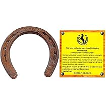 Amazon.com: Billion Deals Authentic Certified Used Horseshoe